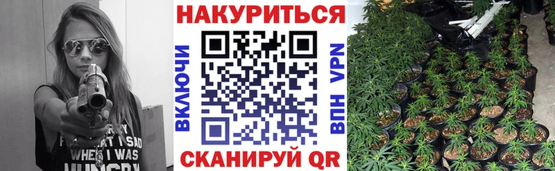 даркнет какой сайт  купить закладку  Междуреченск  Марихуана сатива 